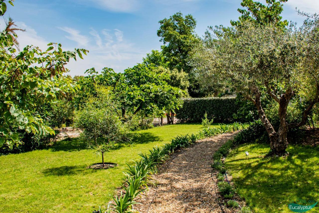 Le Clos Des Eucalyptus Le Plan-de-la-Tour 外观 照片
