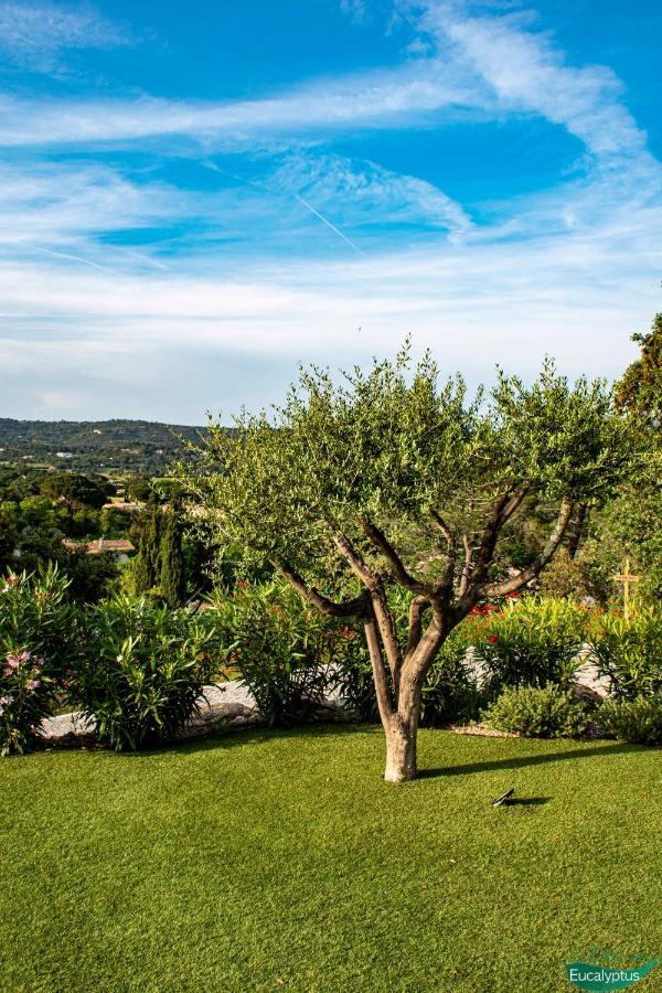 Le Clos Des Eucalyptus Le Plan-de-la-Tour 外观 照片